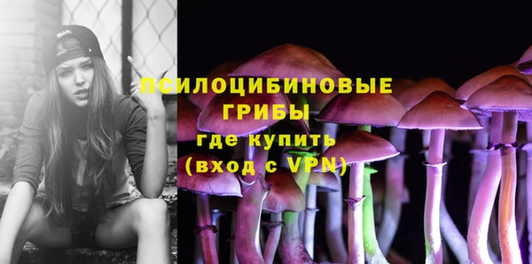 индика Армянск