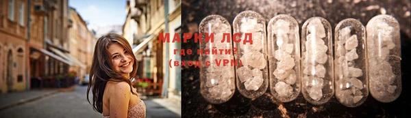 индика Аркадак