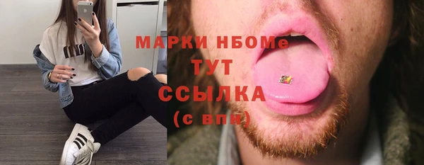 индика Армянск