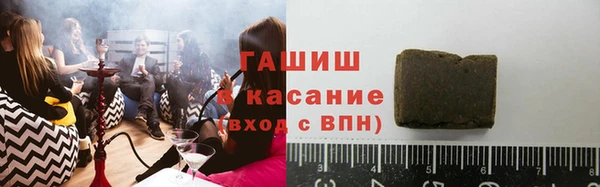 индика Аркадак