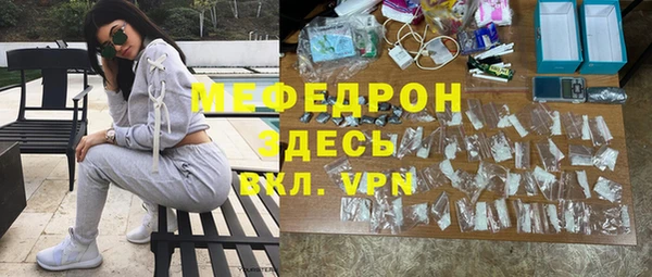 индика Аркадак