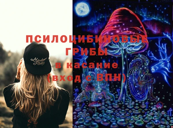 индика Аркадак