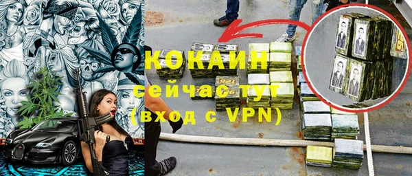 индика Армянск