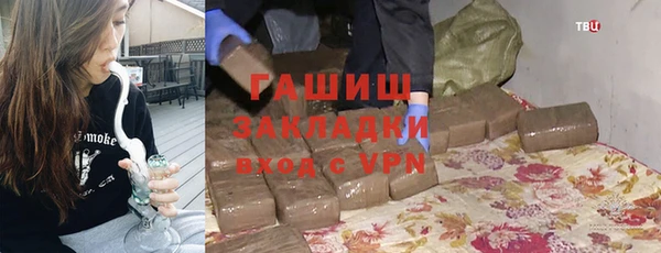 индика Аркадак